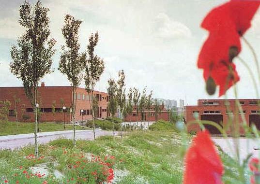 IES Pradolongo IES Pradolongo