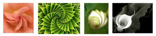 Concurso matemático